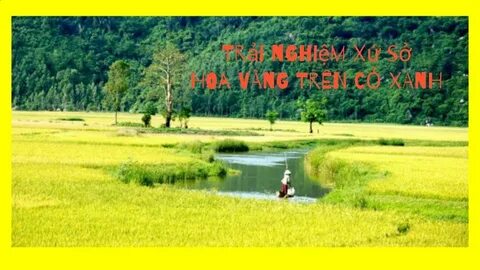 'Hành trình hạnh phúc' của Saigon Co.op lan tỏa niềm tự hào quê hương_Quỹ đầu tư khởi nghiệp