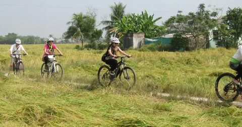Làm Video Ngắn – Vừa Sáng Tạo, Vừa Kiếm Tiền Với Công Cụ Hữu Ích_Xu hướng tiếp thị kỹ thuật số 2025